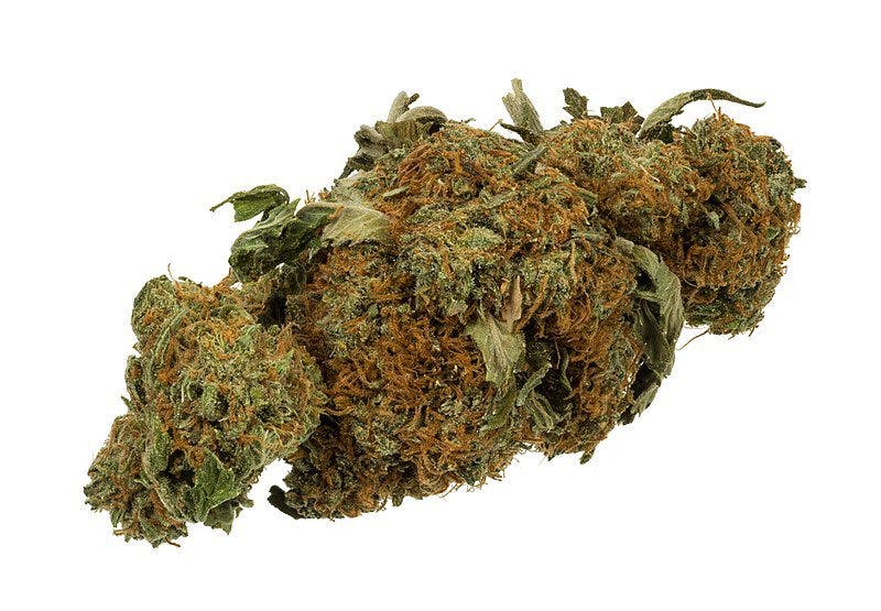 A dried flower bud of the Cannabis / medical marijuana plant.