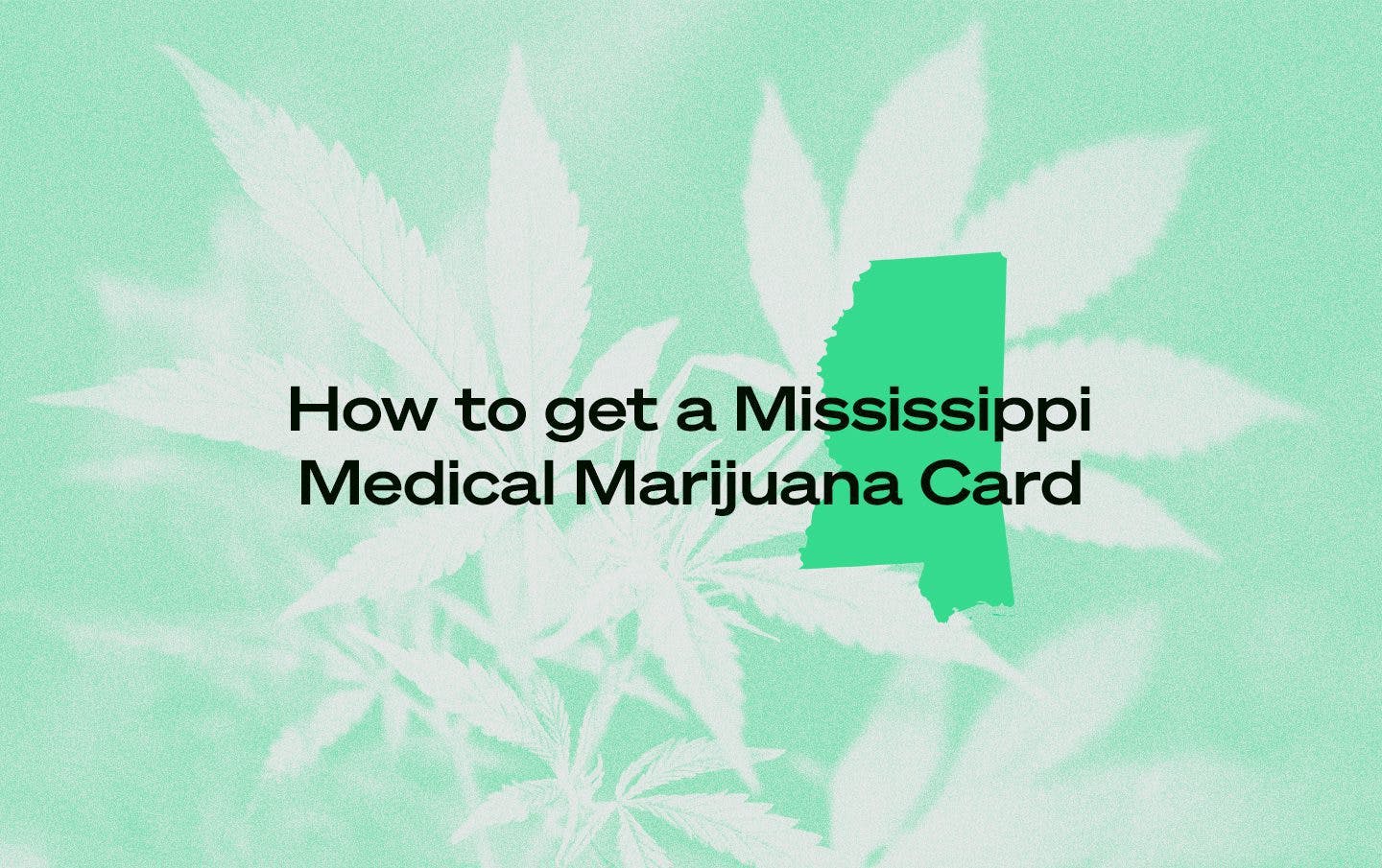 Mississippi Medical Marijuana Card