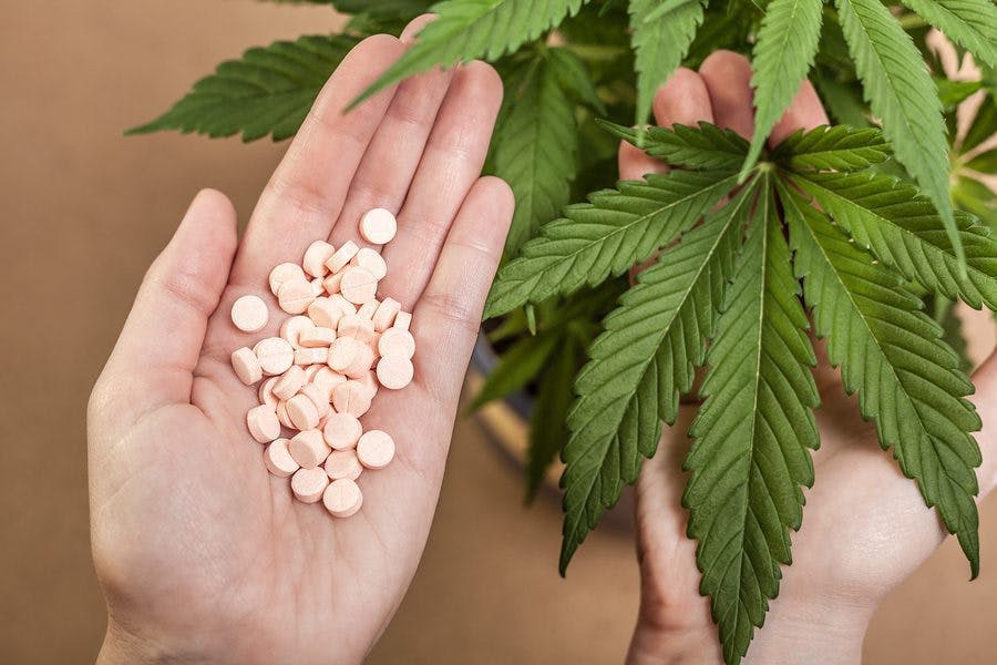 cannabis plant next to prescription medicine