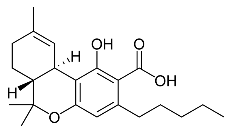 THC; tetrahydrocannabinol; THC isomer. 