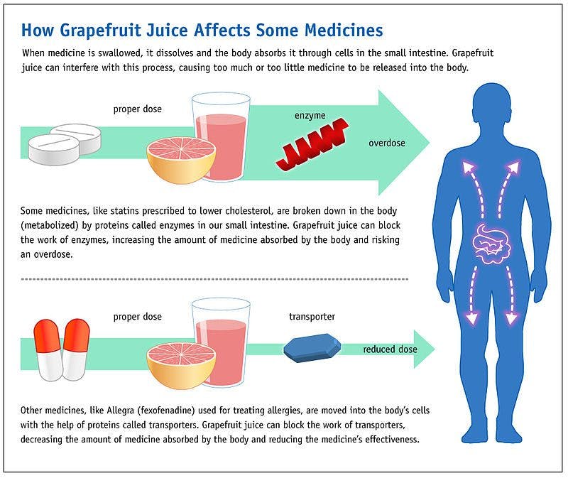 Grapefruit juice; drug interactions; how grapefruit interacts with drugs; negative drug interactions; liver enzymes; small intestine enzymes; drug metabolism.