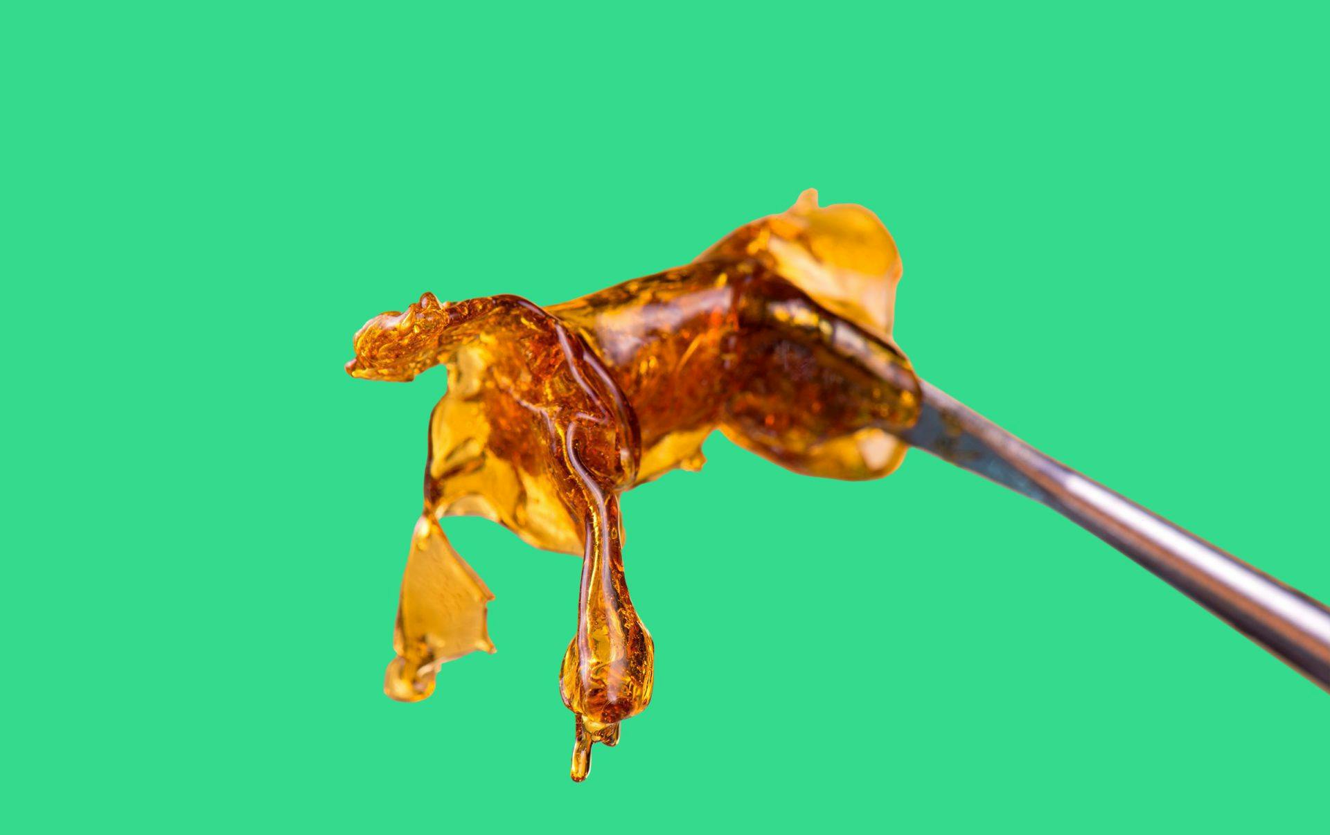 closeup of thc dab help by a metal tool
