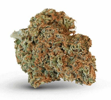 ACDC cannabis strain