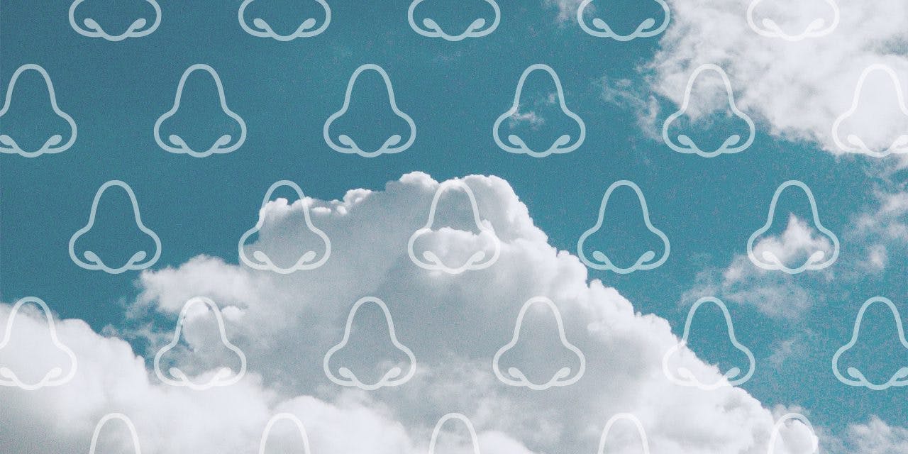 alternate vector drawings of nose with clouds as a background