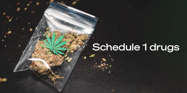 cannabis inside a pocket size ziplock (schedule 1 drugs)