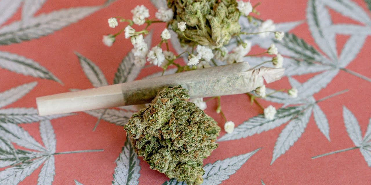 marijuana flower and pre-roll