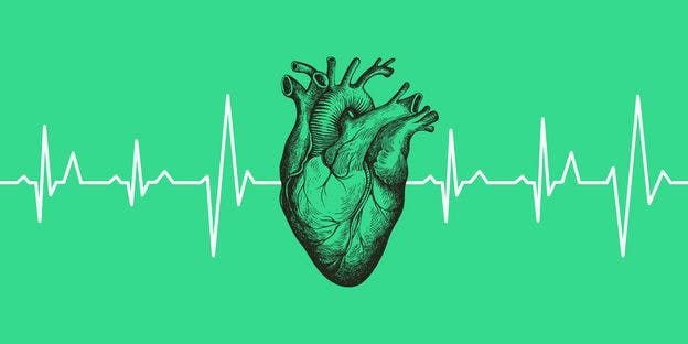 graphical heart in green color connected with a life line