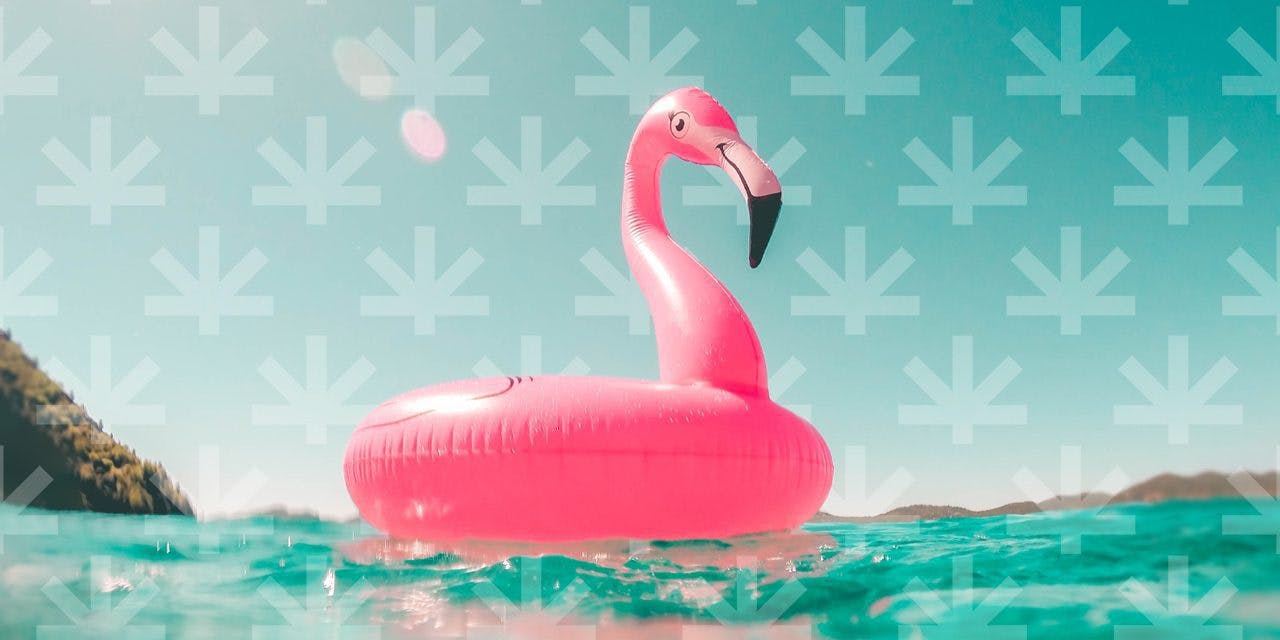 flamingo floater on sea water