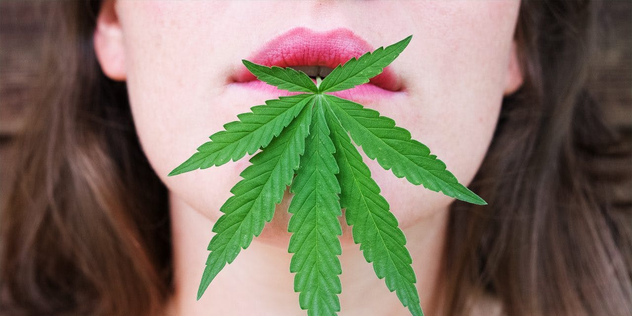 closeup of woman's lips biting marijuana leaf