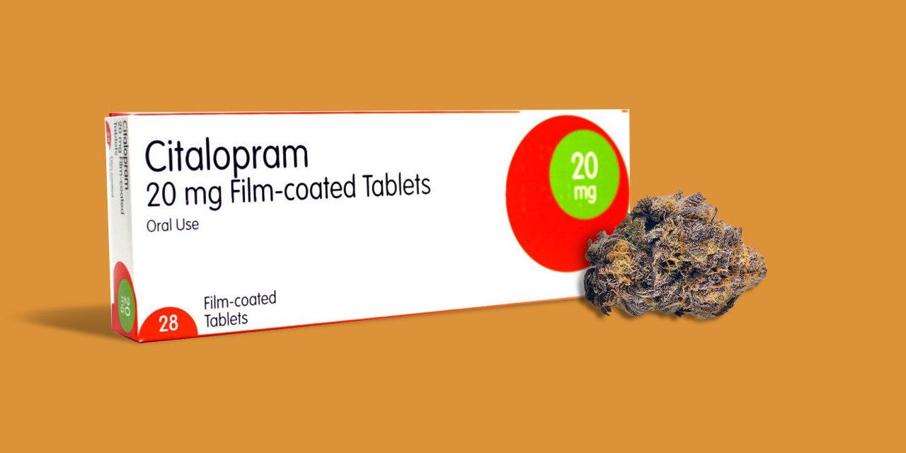 box of citalopram and herb
