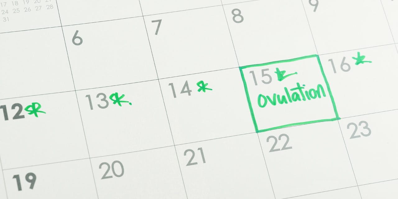 closeup calendar dates with a note of ovulation day