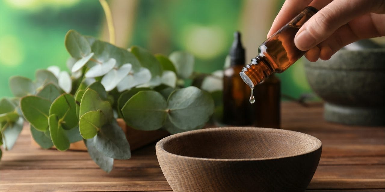 closeup hand putting essential oil into wooden bowl with eucalyptus twig in the background
