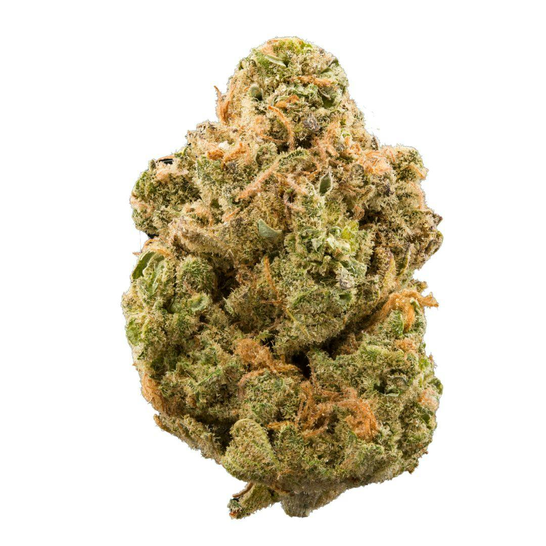 closeup of marijuana nug