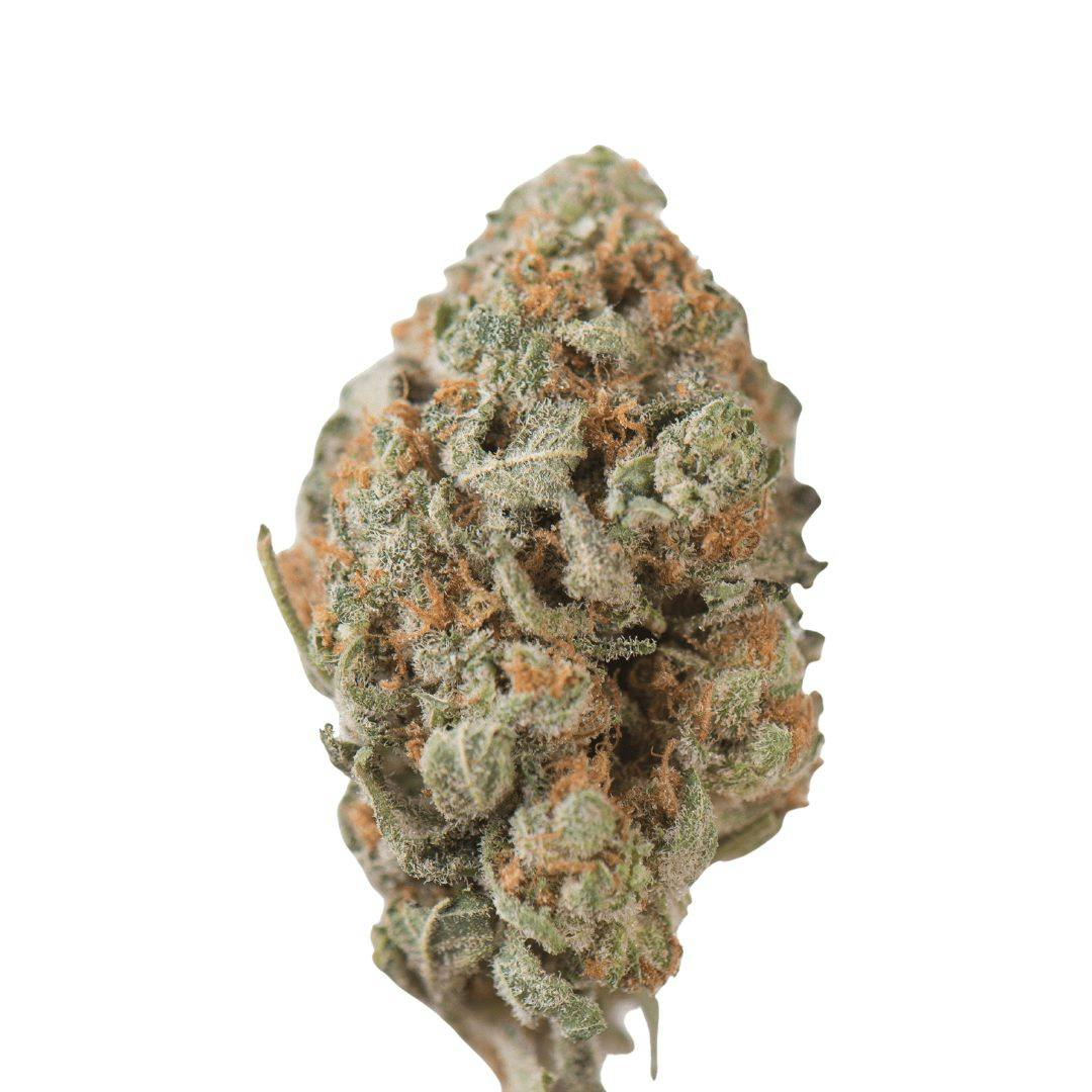 closeup of tangie marijuana strain nug