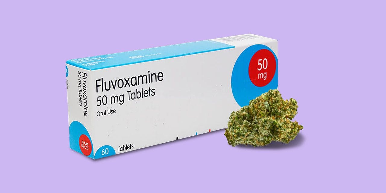 box of fluvoxamine tablets and herb