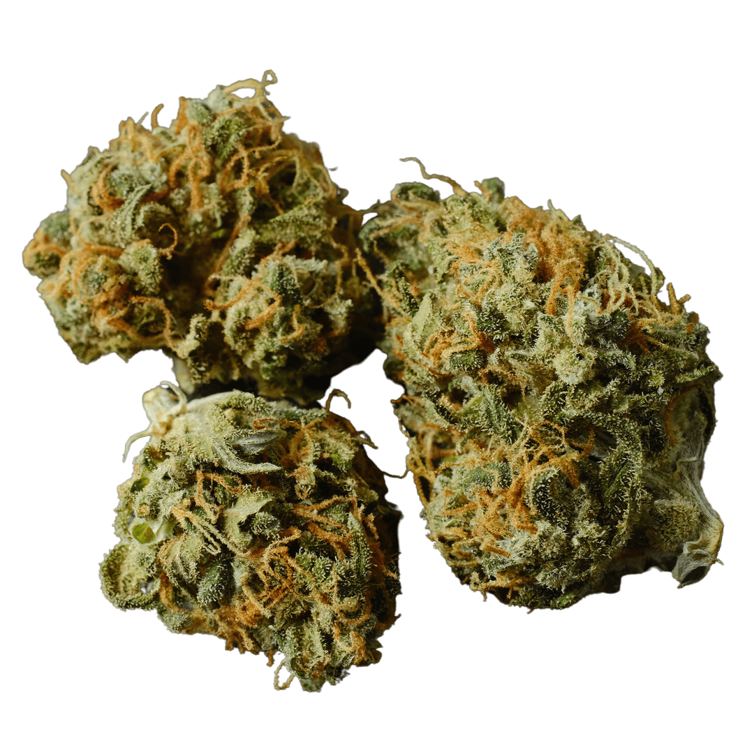 gg4 marijuana bud up close