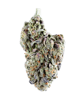 closeup of runtz marijuana nug