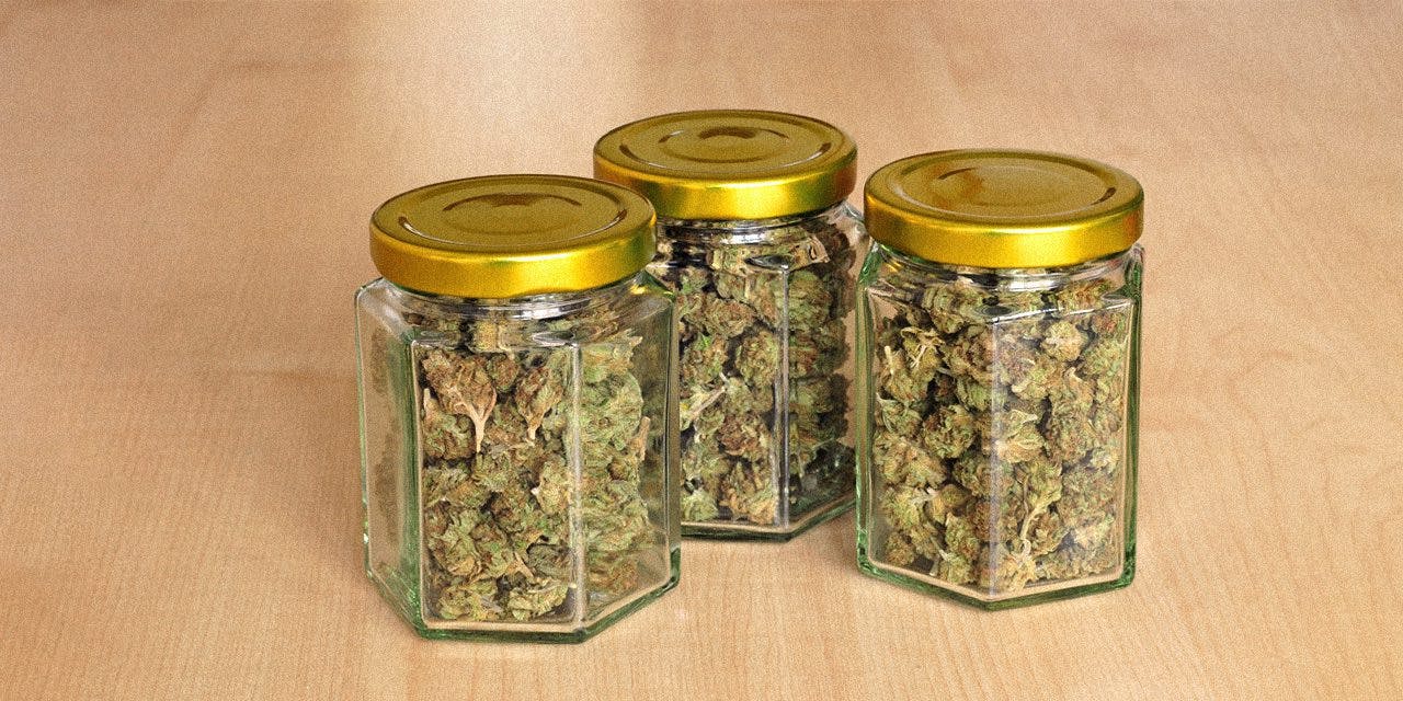 cannabis flowers stored in jars