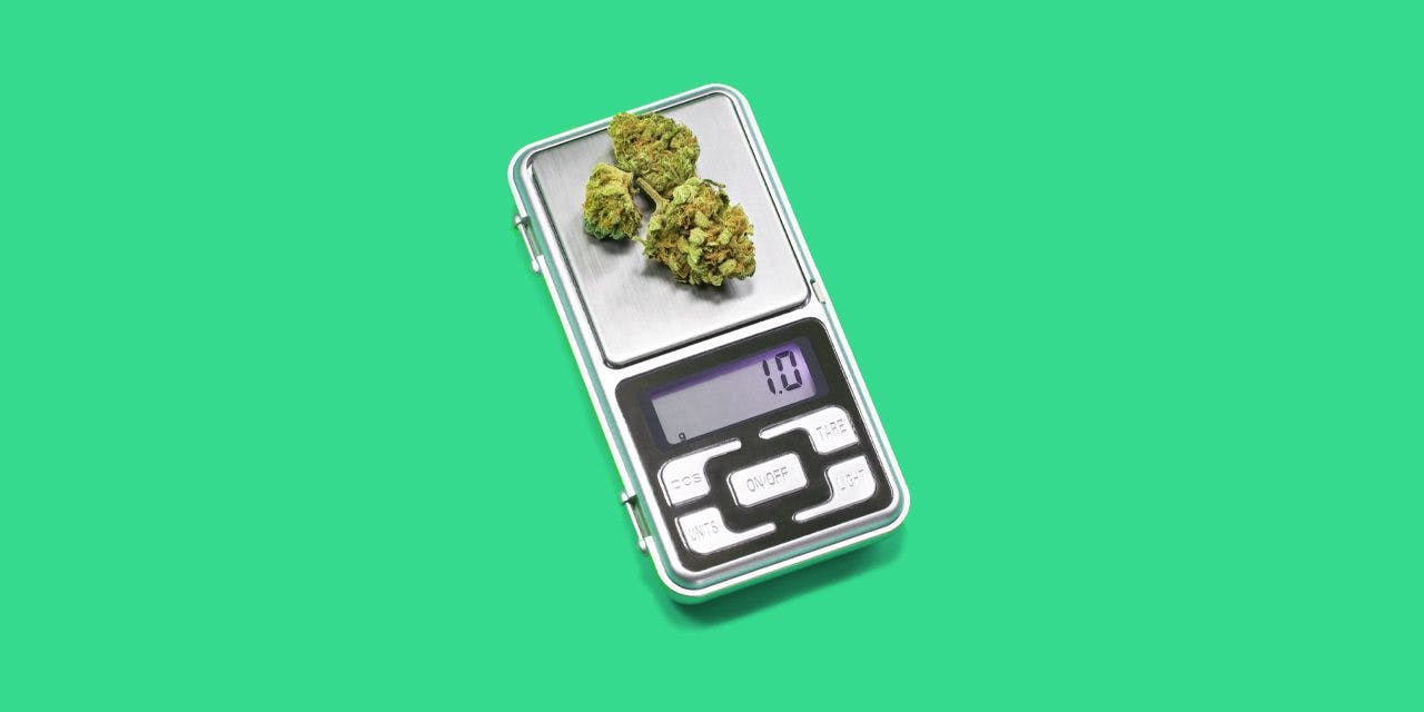 weighing of marijuana buds