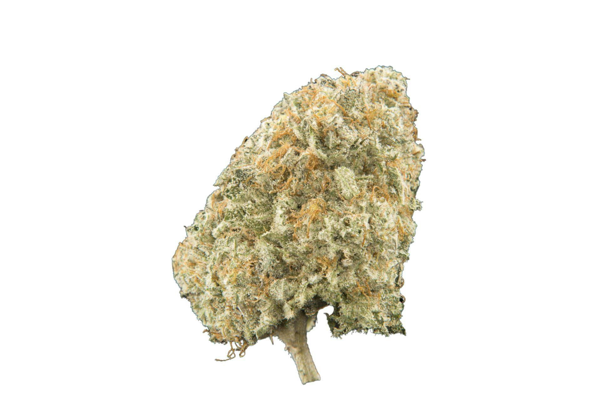 closeup of blackberry kush marijuana nugget