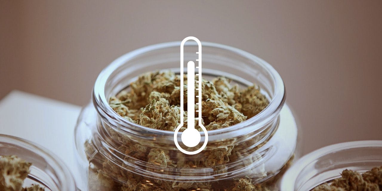 a jars of weed chunks with an icon of thermometer