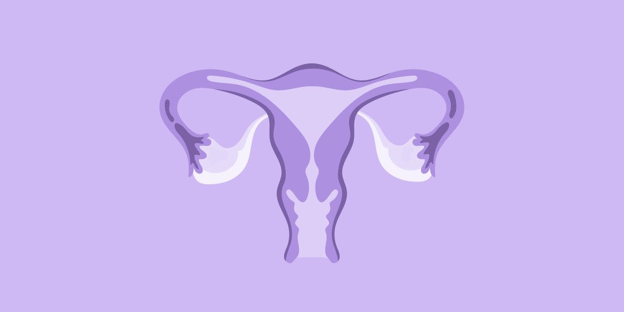 graphical image of an ovary