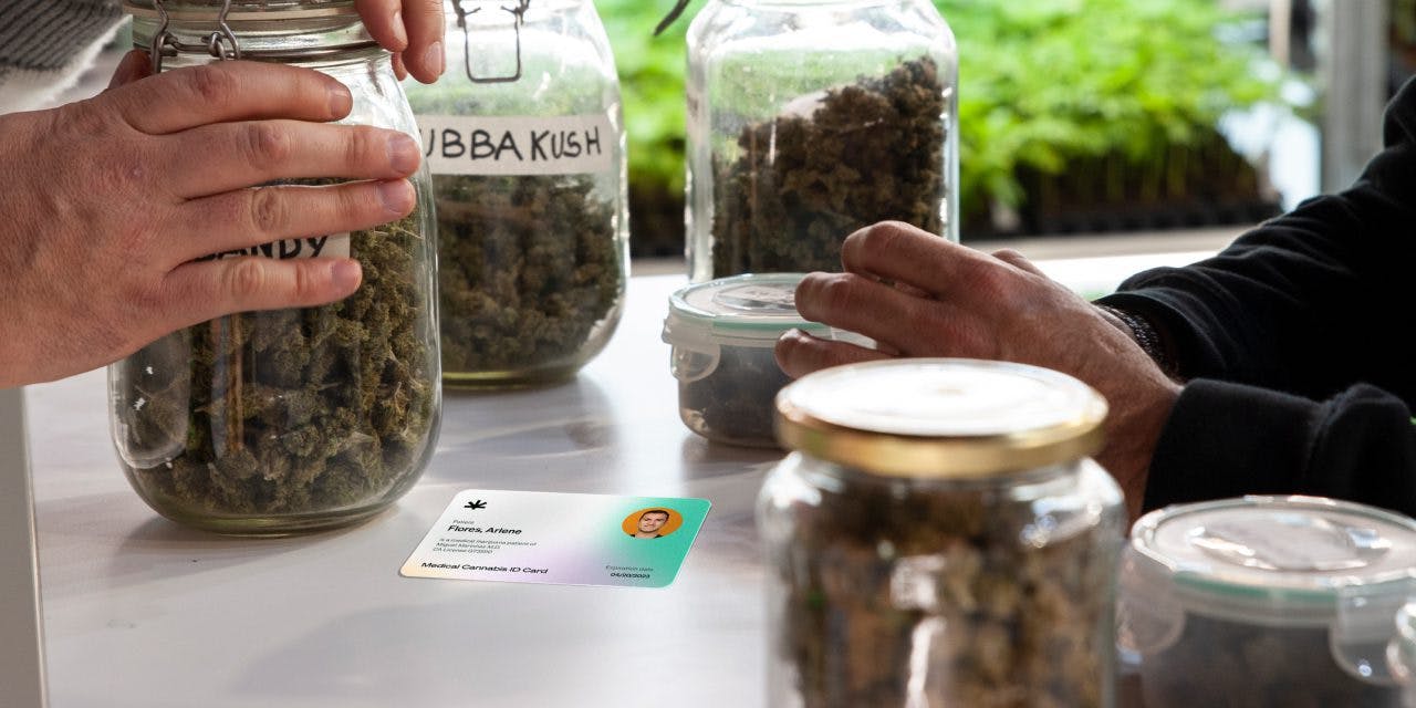 jars of cannabis on a tables with hands of people visible and an MMJ card