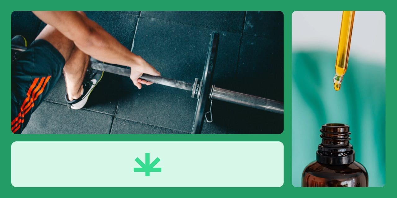 Barra de levantamiento de pesas y gotero con aceite de CBD.