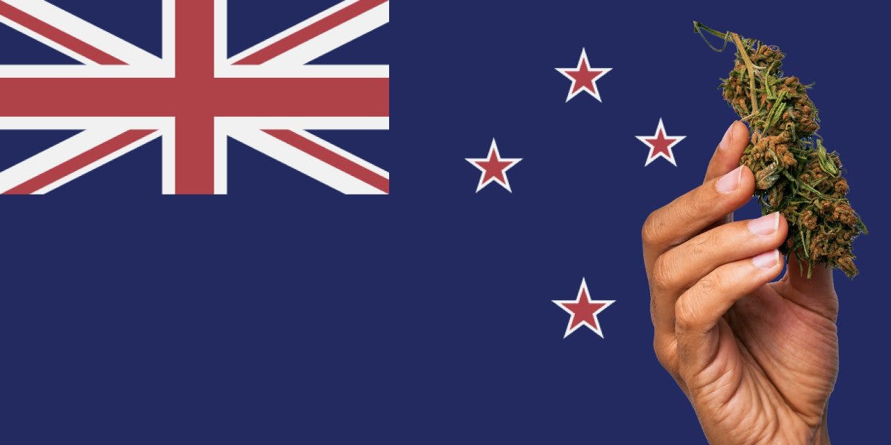 new zealand flag with marijuana nugget in front