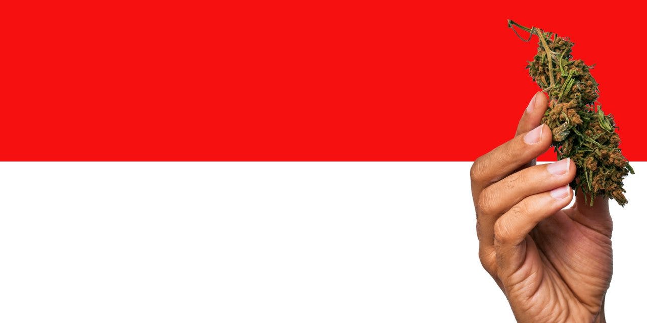 Indonesian flag and marijuana bud
