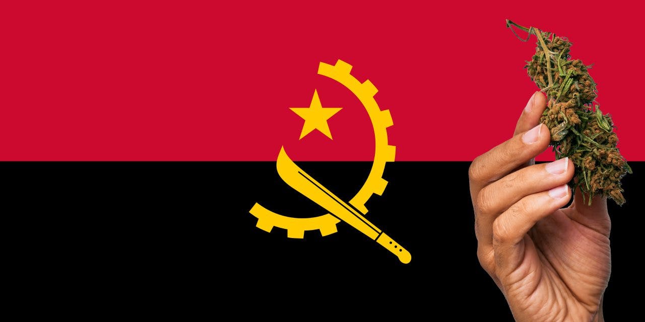 Angola flag with a hand holding a marijuana infront of it