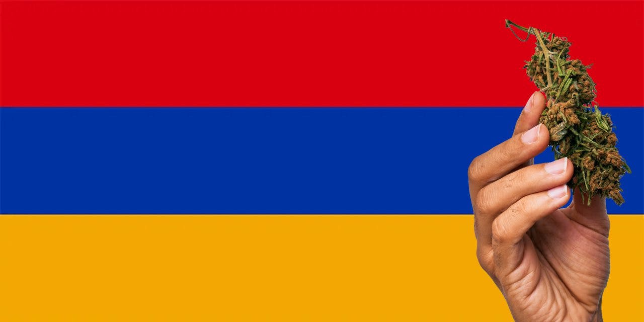 Armenian flag with marijuana in front.