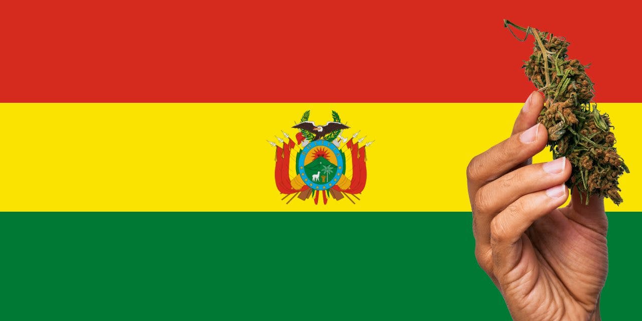 bolivian flag with marijuana nugget in front