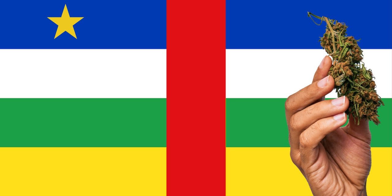 Central African Republic flag with a hand holding a marijuana infront of it
