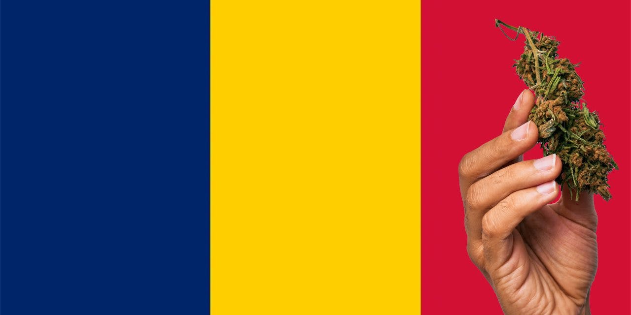 Chad flag with marijuana in front.