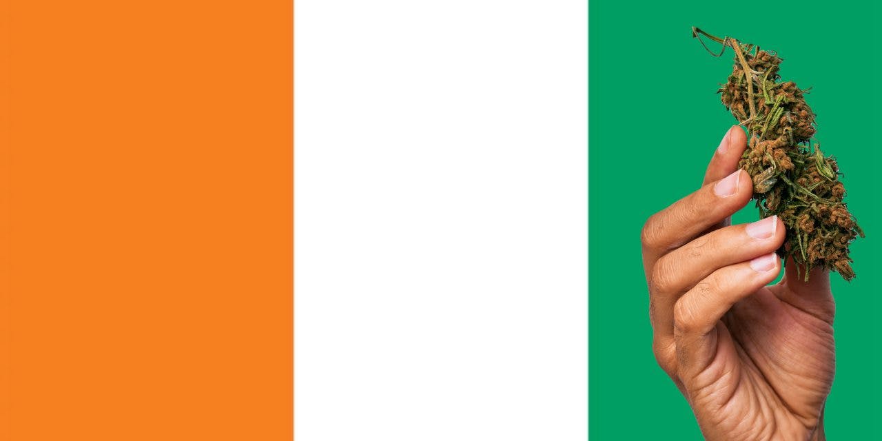 Cote Divoire flag with a hand holding a marijuana infront of it