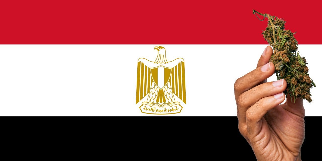 Egyptian flag with marijuana in front.