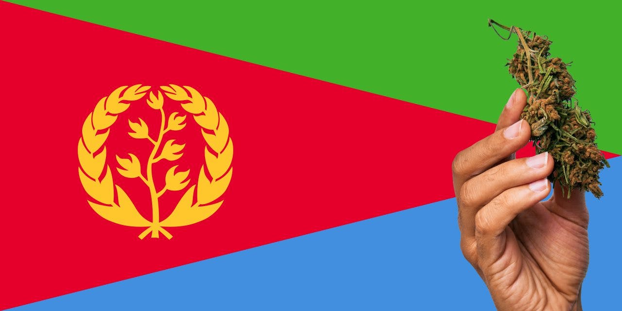 Eritrean flag with marijuana in front.