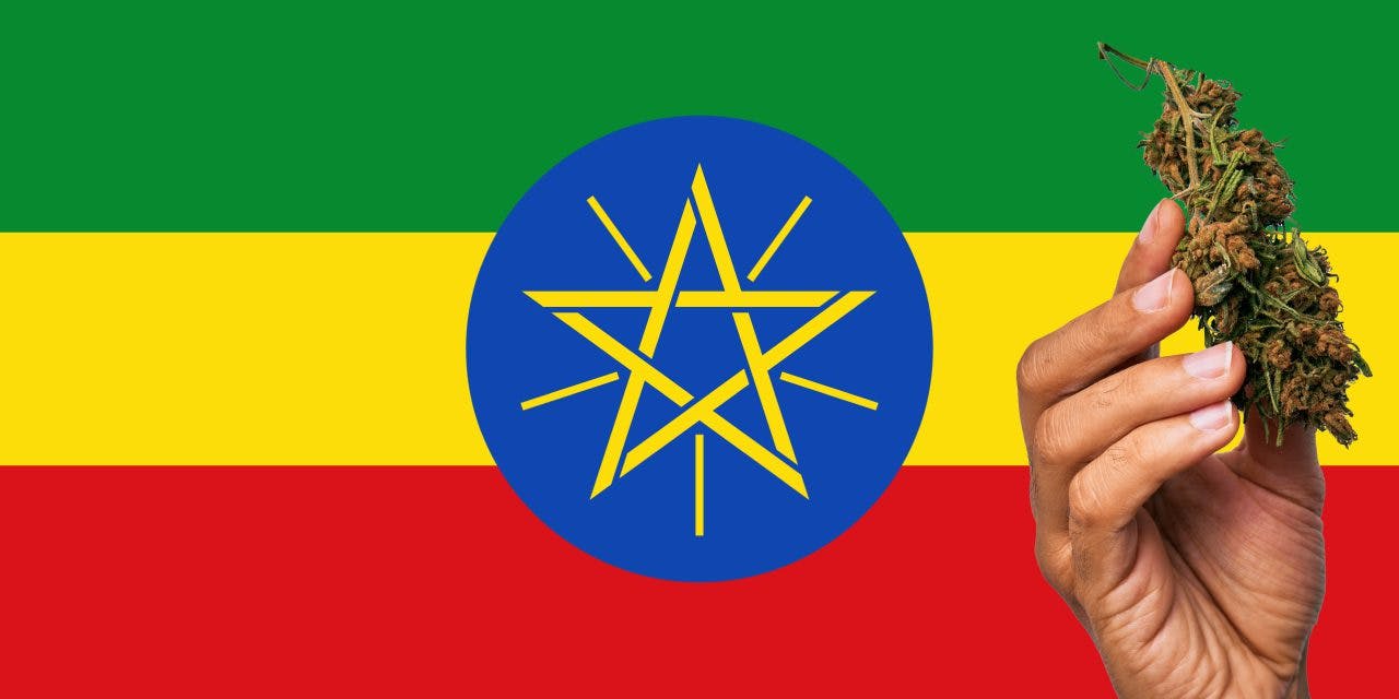 Ethiopian flag with marijuana in front.