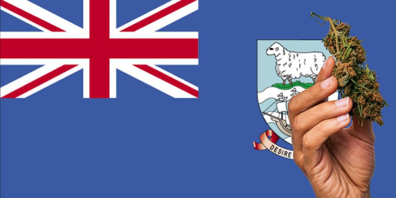 Falkland Islands flag with marijuana in front.