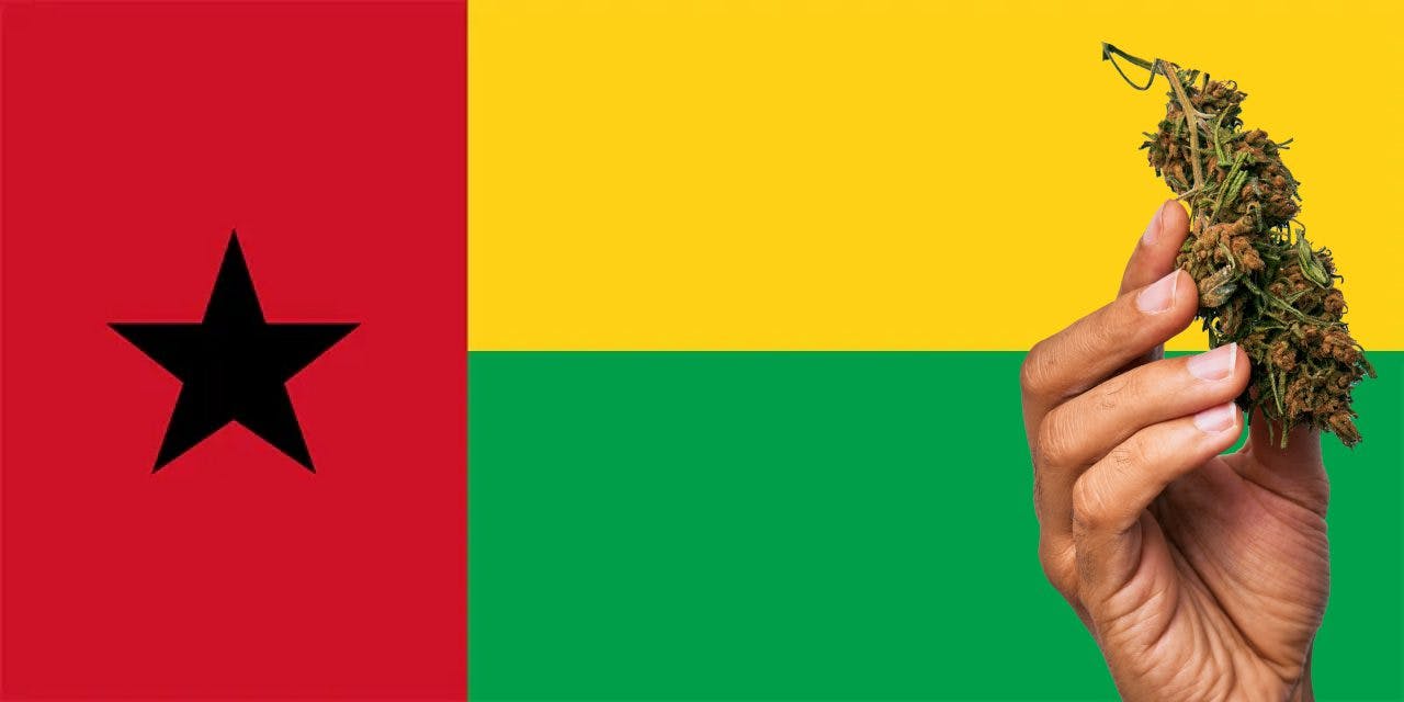 Guinea Bissau flag with marijuana in front.