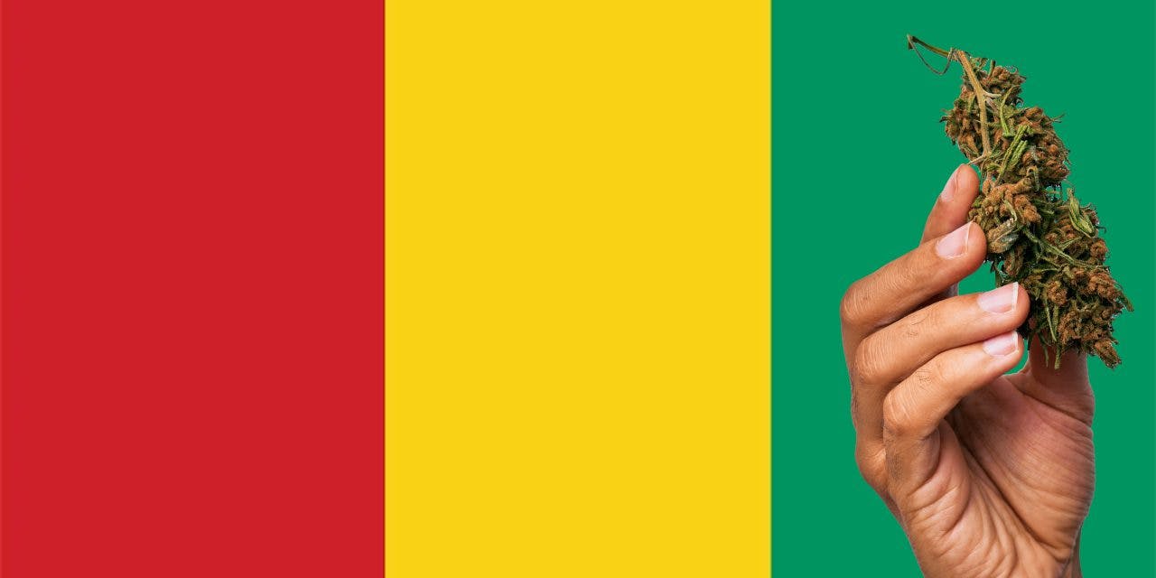 Guinea flag with marijuana in front of it