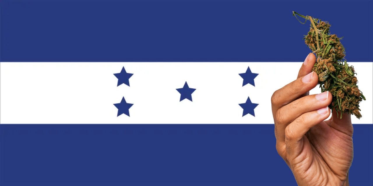 Honduras flag with a hand holding a marijuana infront of it