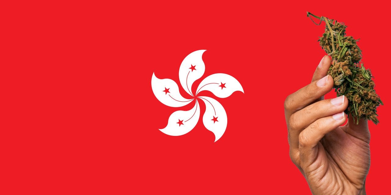 Hong Kong flag with marijuana in front.