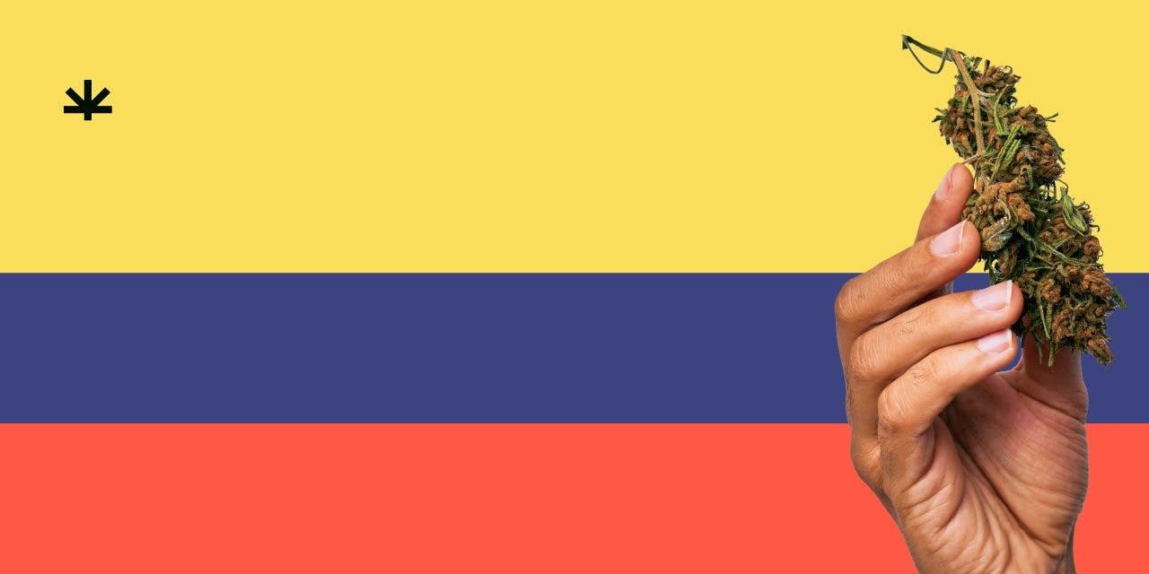 Colombian flag with marijuana in front.