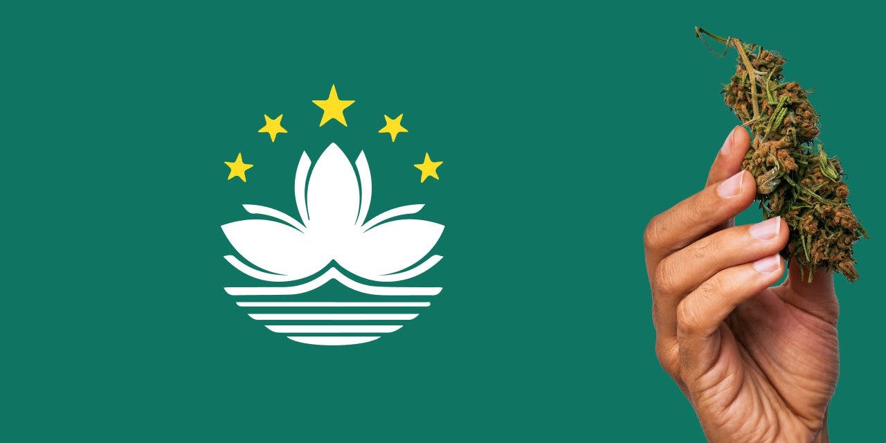 Macau flag with marijuana in front.