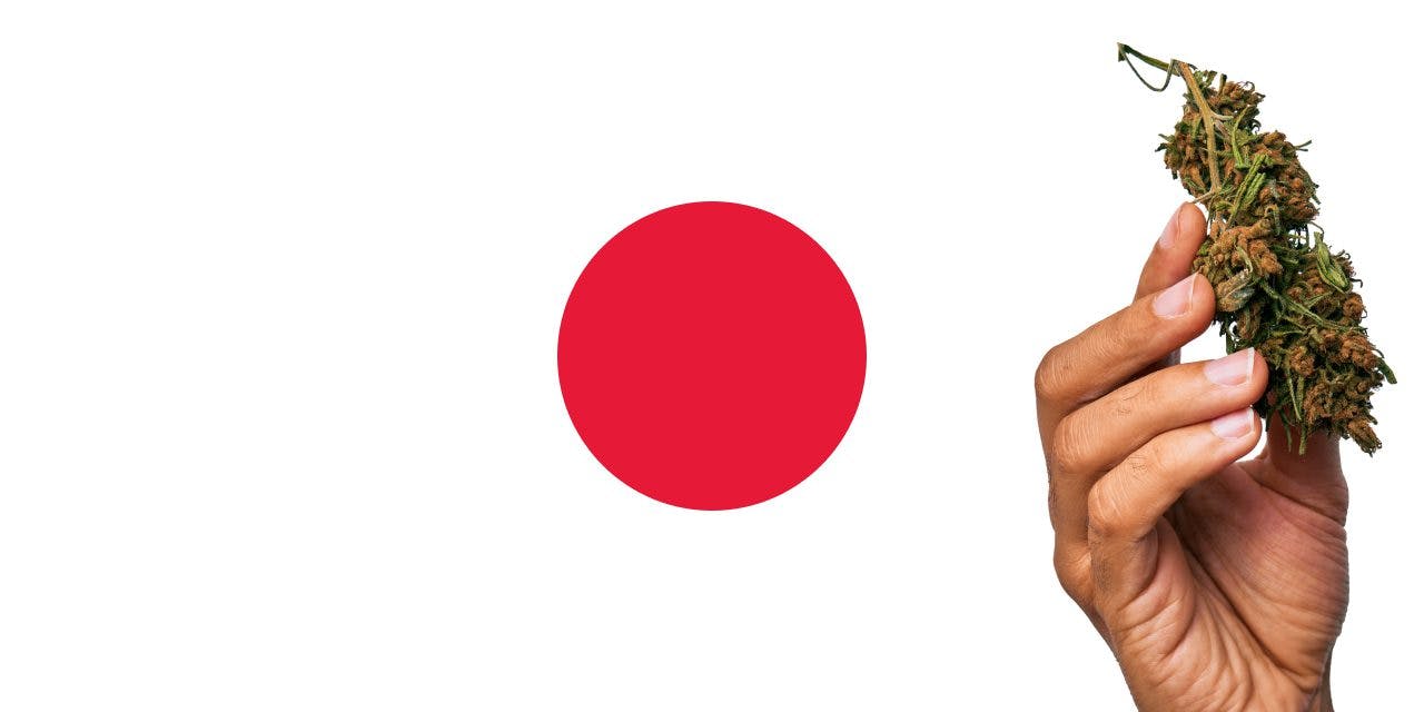 Japan flag with a hand holding a marijuana infront of it