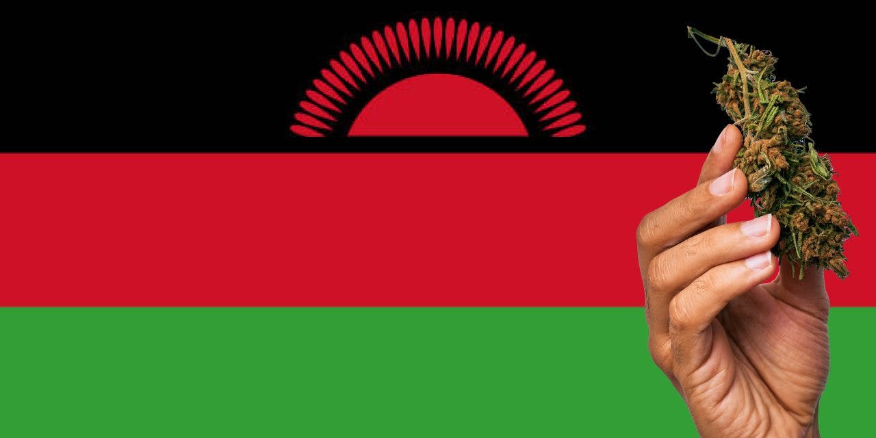 Malawi flag with marijuana in front.