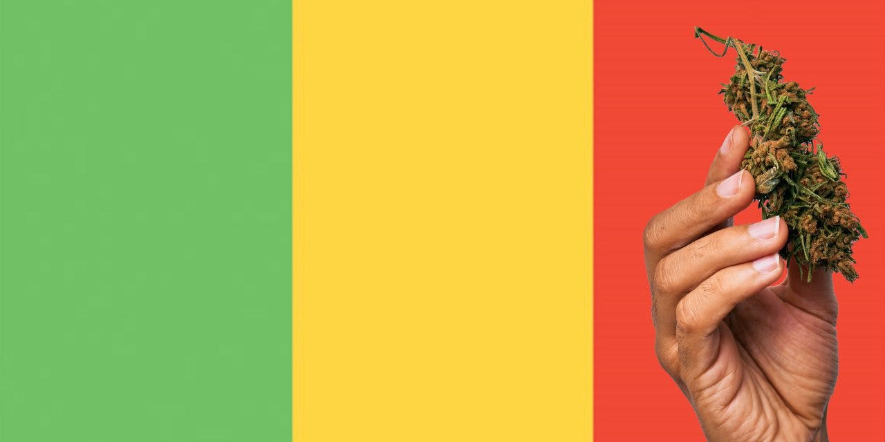 Mali flag with marijuana in front.
