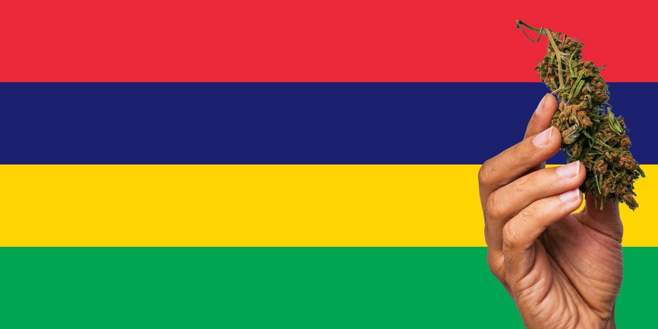 Mauritius flag with marijuana in front.
